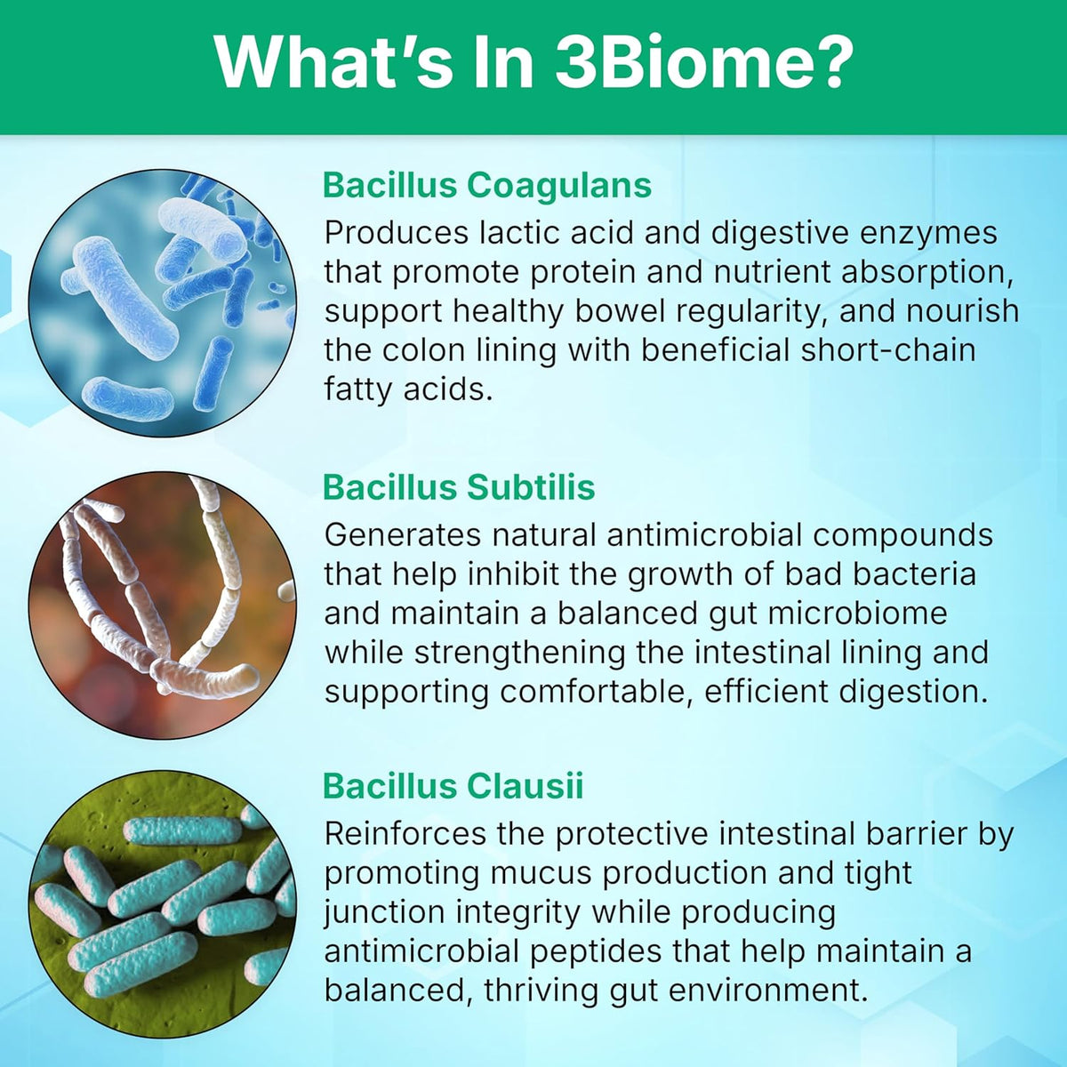 3Biome Natural Probiotic Supplement for Gut Health, Vegan, Gluten-Free