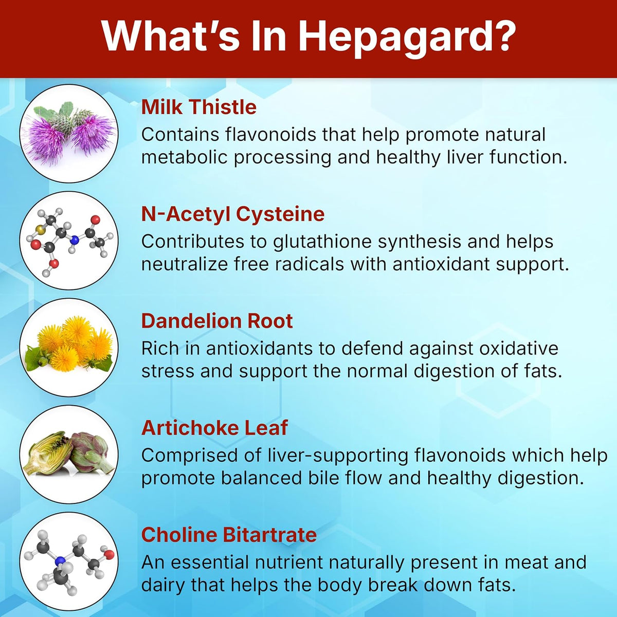 Hepagard Natural Liver Support Supplement with NAC, Vegan, Gluten-Free